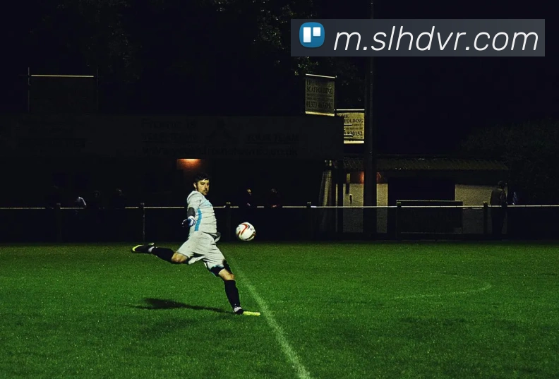 星空体育官网平台生态图