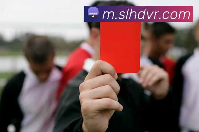 星空体育官网APP 封面图