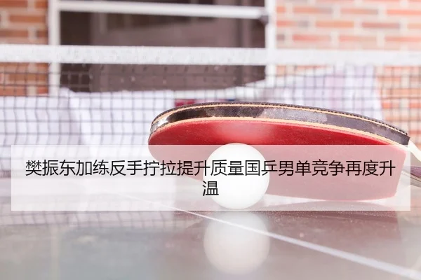 樊振东加练反手拧拉提升质量国乒男单竞争再度升温